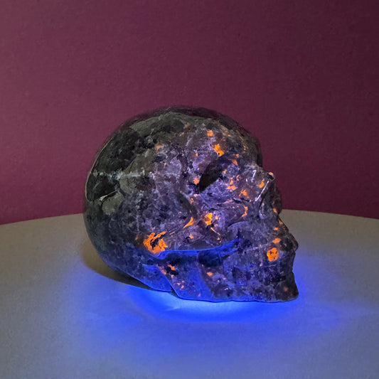 Yooperlite Skull, UV Reactive