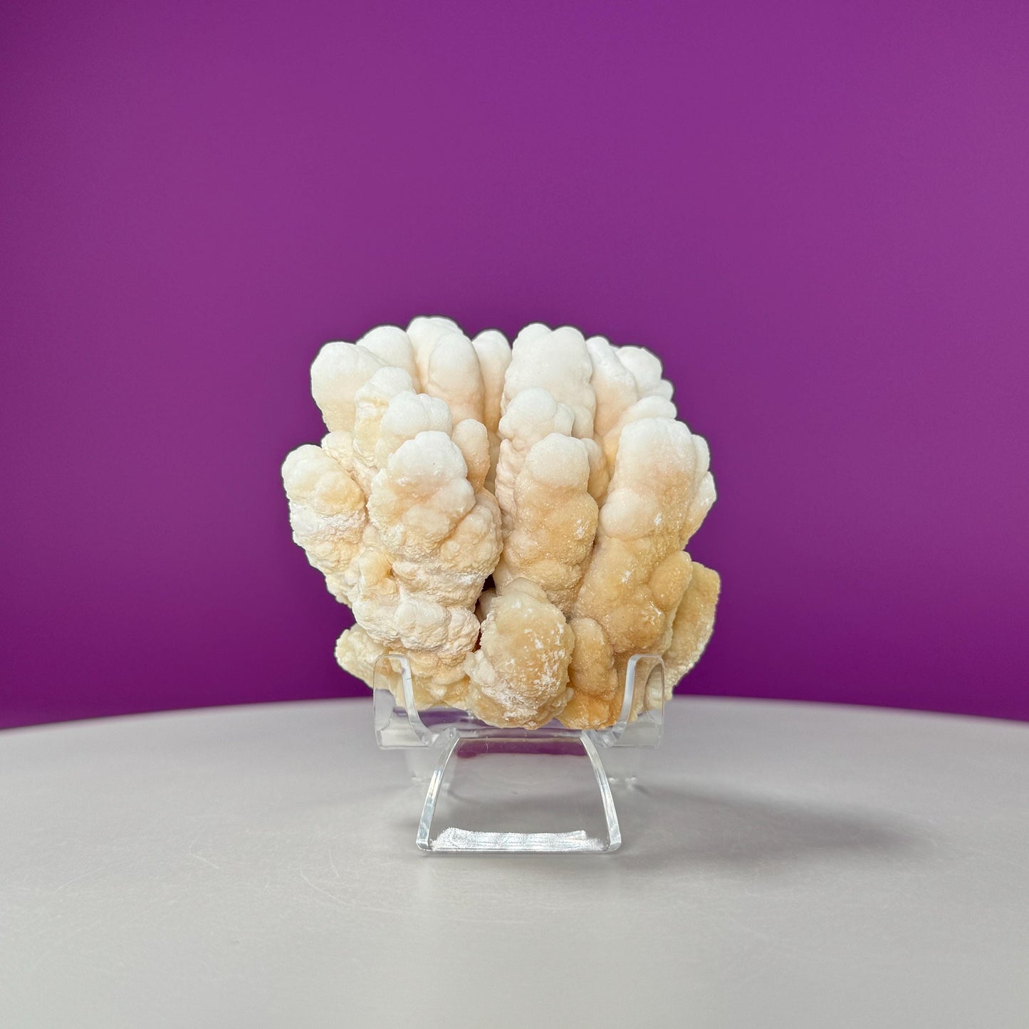 Botryoidal Aragonite Cave Calcite (Morocco) (Includes Acrylic Stand), UV Reactive