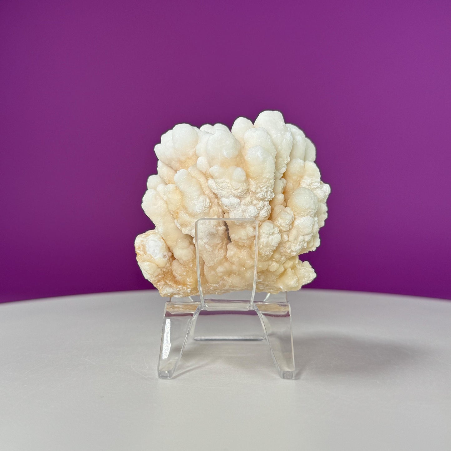 Botryoidal Aragonite Cave Calcite (Morocco) (Includes Acrylic Stand), UV Reactive