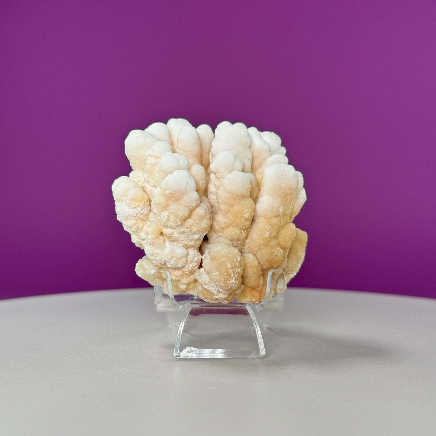 Botryoidal Aragonite Cave Calcite (Morocco) (Includes Acrylic Stand), UV Reactive