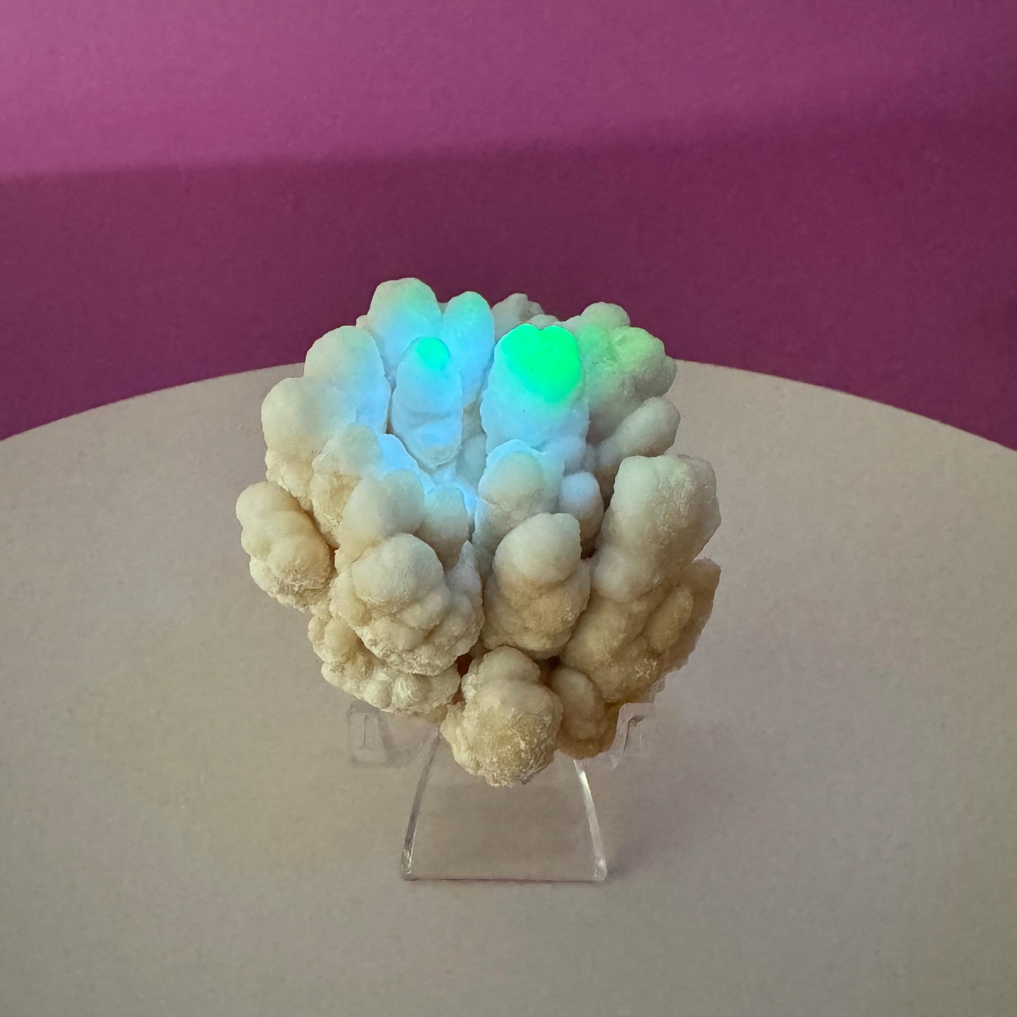 Botryoidal Aragonite Cave Calcite (Morocco) (Includes Acrylic Stand), UV Reactive