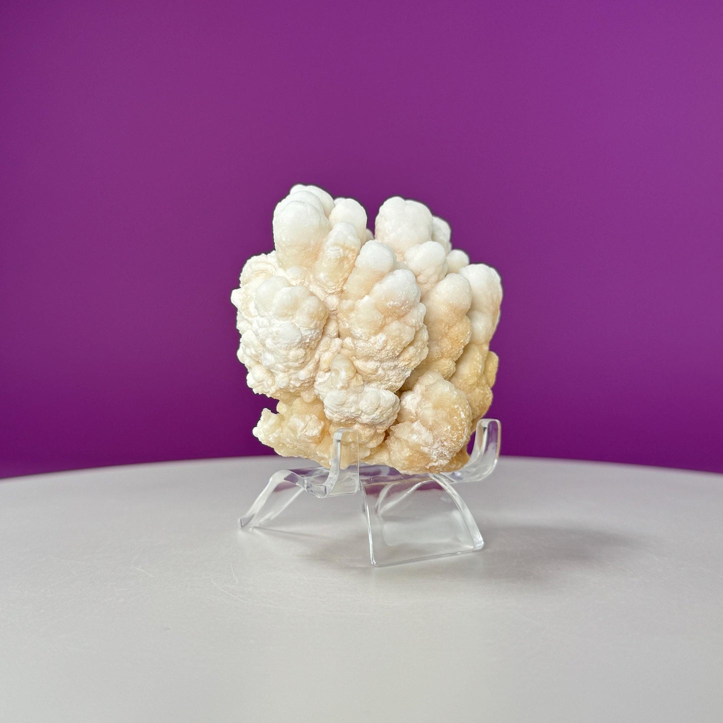 Botryoidal Aragonite Cave Calcite (Morocco) (Includes Acrylic Stand), UV Reactive