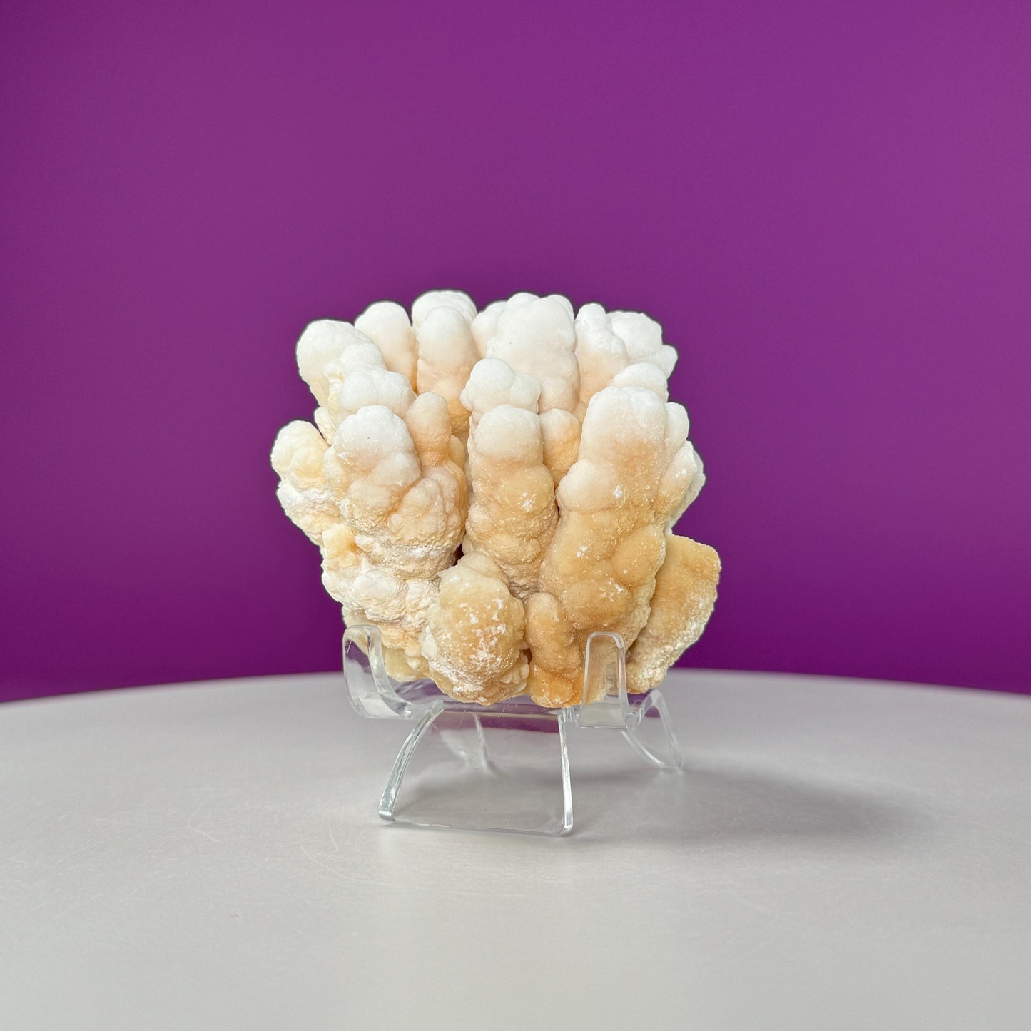 Botryoidal Aragonite Cave Calcite (Morocco) (Includes Acrylic Stand), UV Reactive